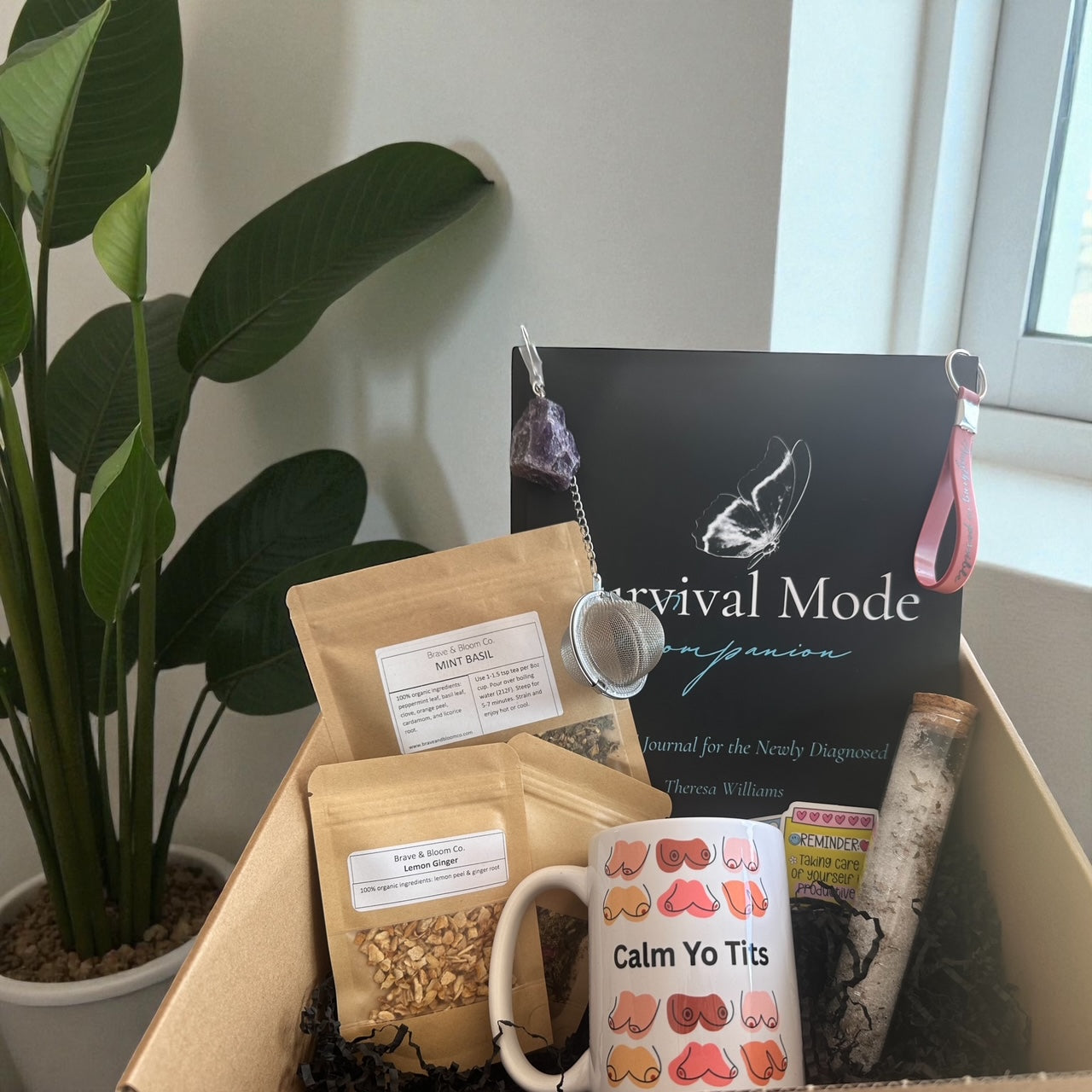 Care Kit - Breast Intentions