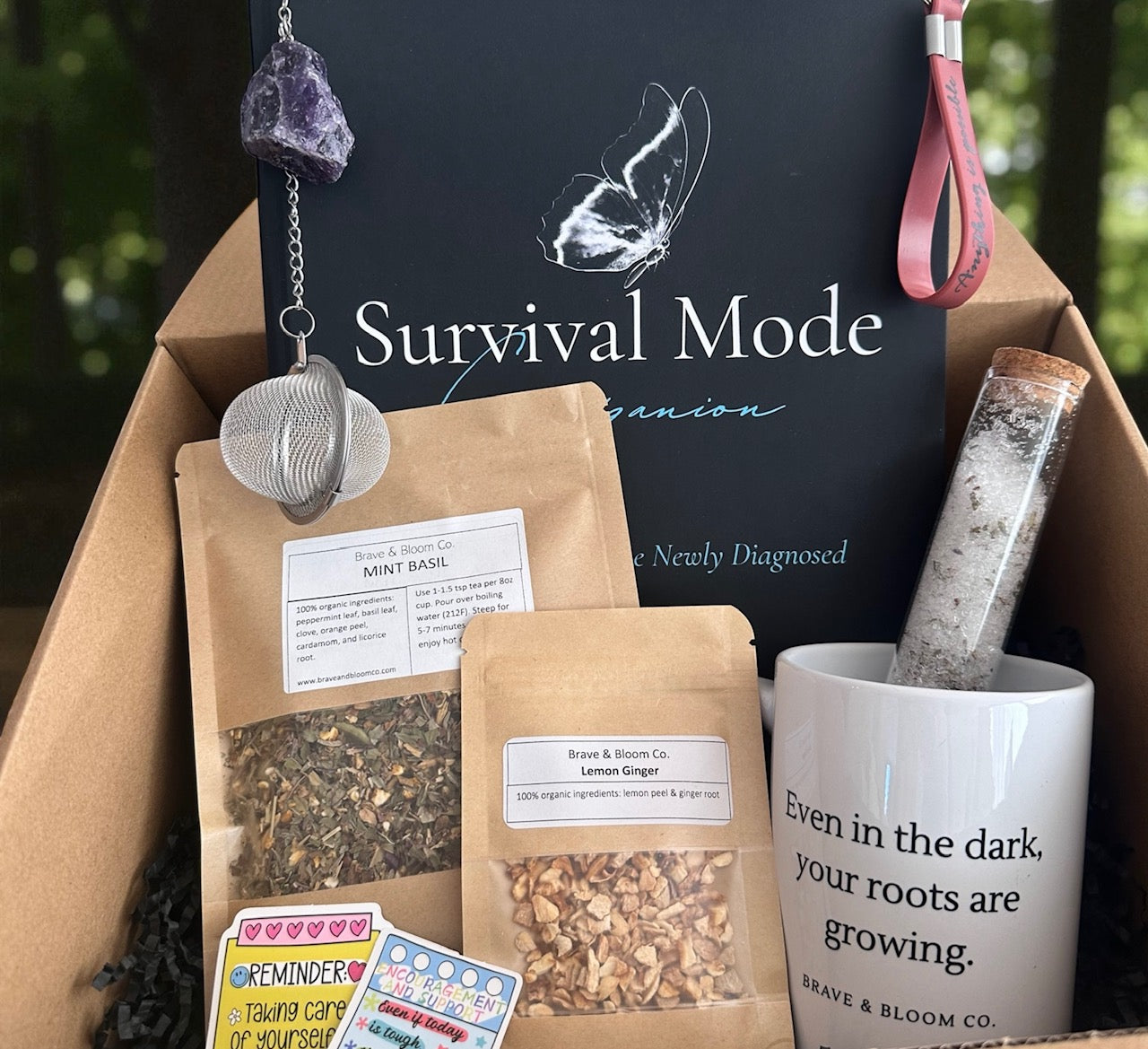 Care Kit - Rooted Resilience